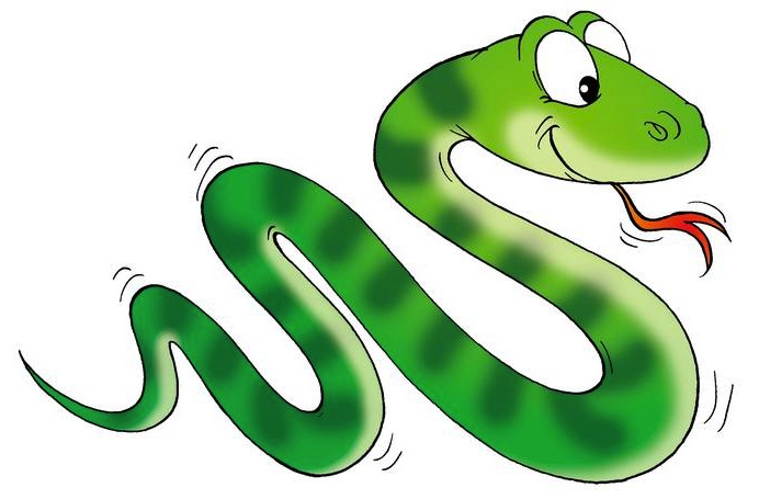 Boa Constrictor Clipart.