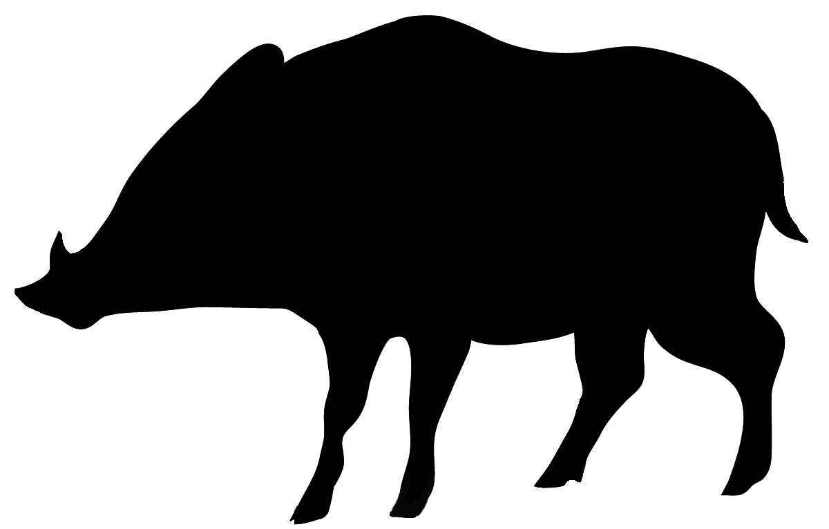 Wild Boar Clipart.