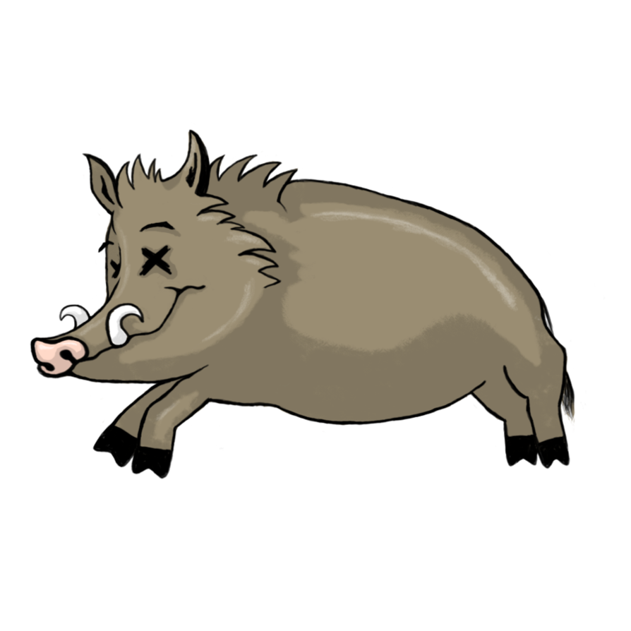 Boar clipart 20 free Cliparts | Download images on Clipground 2021