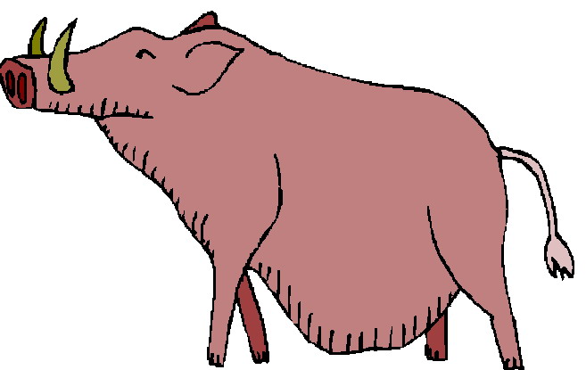 Boar clipart 20 free Cliparts | Download images on Clipground 2021