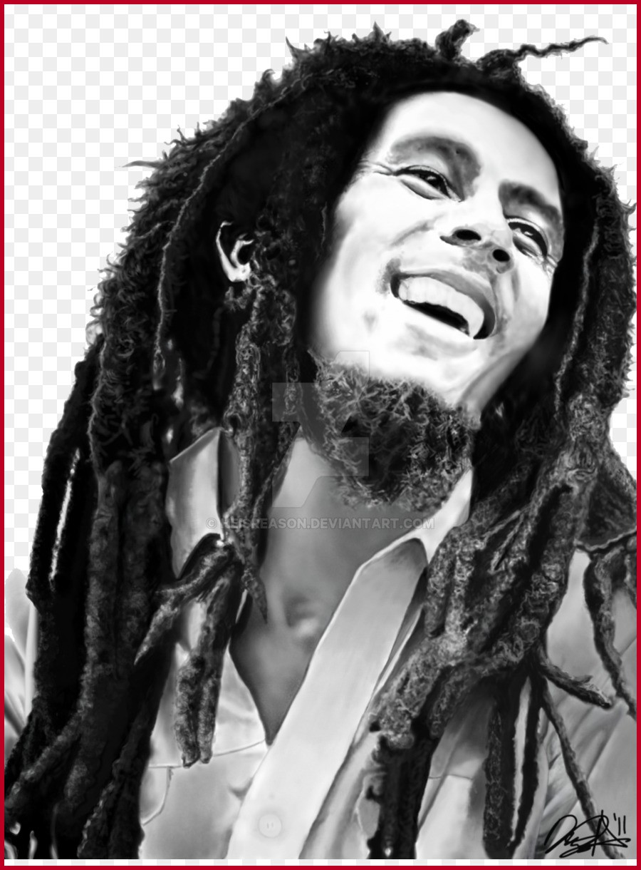 Bob Marley Hairstyle 127456 Bob Marley the Evil Monkey Reggae song.
