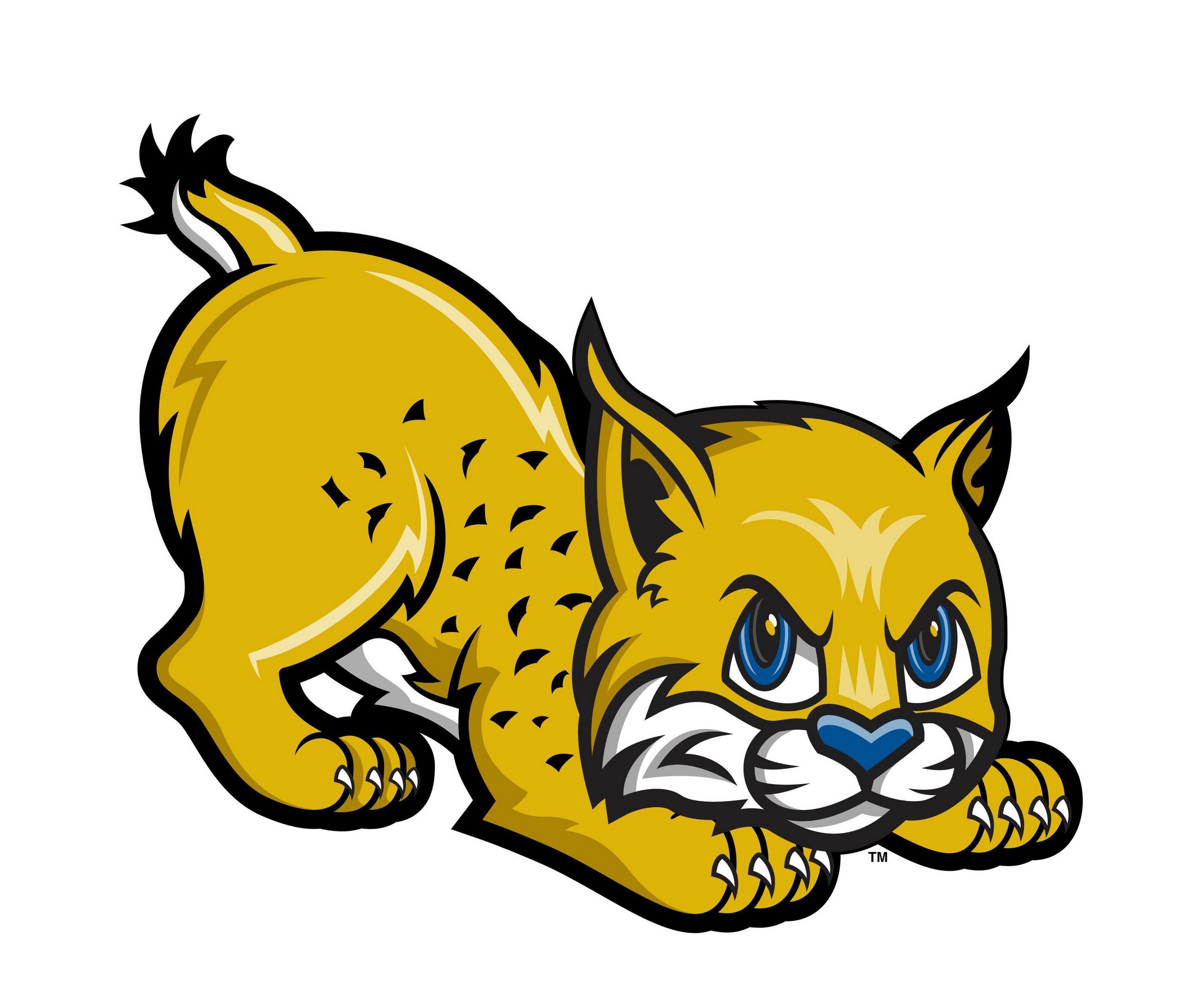 Free Bobcat Clipart Images.