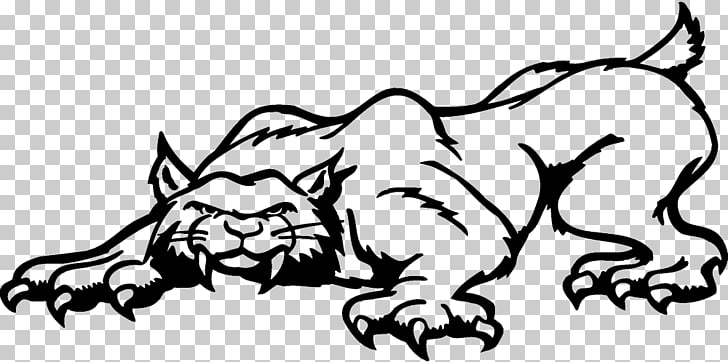 Lion Bobcat Felidae Cartoon , lion PNG clipart.