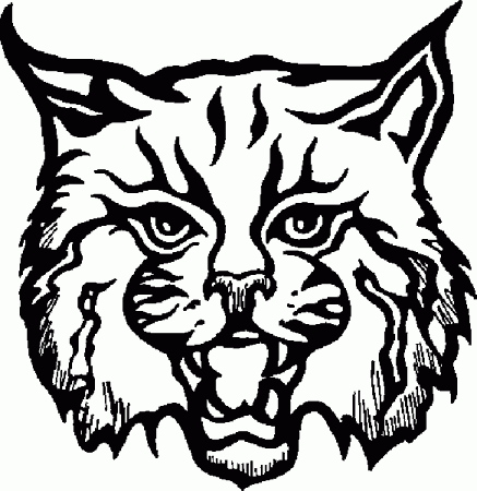 bobcat clipart free 10 free Cliparts | Download images on Clipground 2024