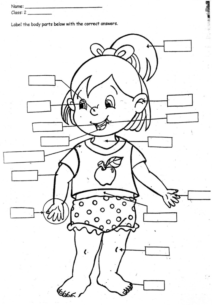 My Body Clipart For Kids Black And White.