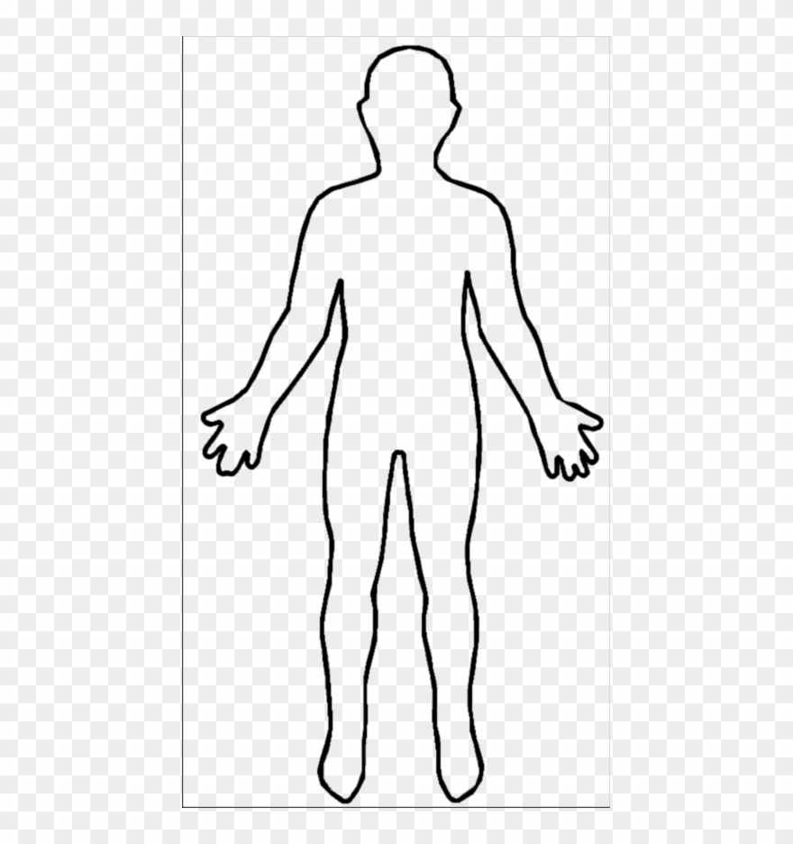 body-clipart-outline-10-free-cliparts-download-images-on-clipground-2023