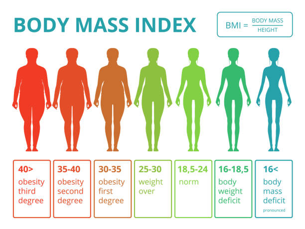 Top 60 Body Mass Index Clip Art, Vector Graphics and Illustrations.