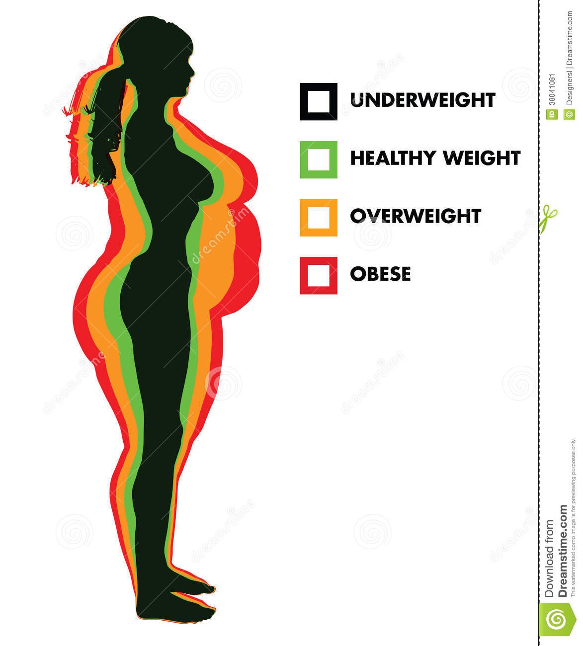 Body Mass Index Clipart.
