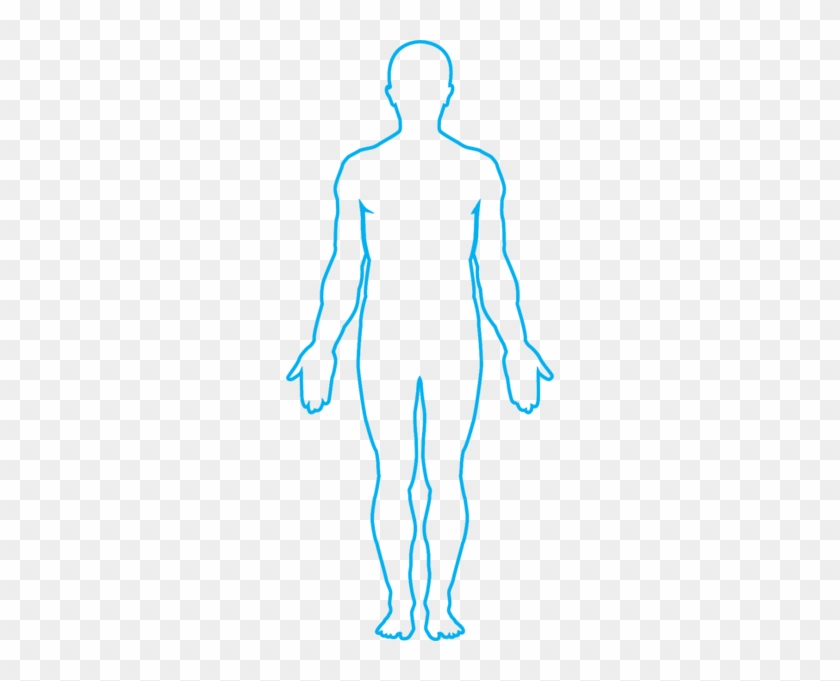 Body Outline Png Free Cliparts Download Images On Clipground