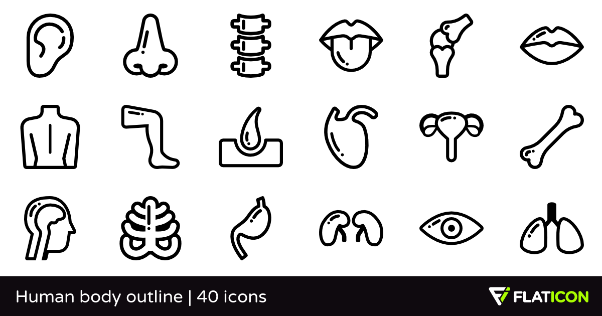 Human body outline 40 free icons (SVG, EPS, PSD, PNG files).