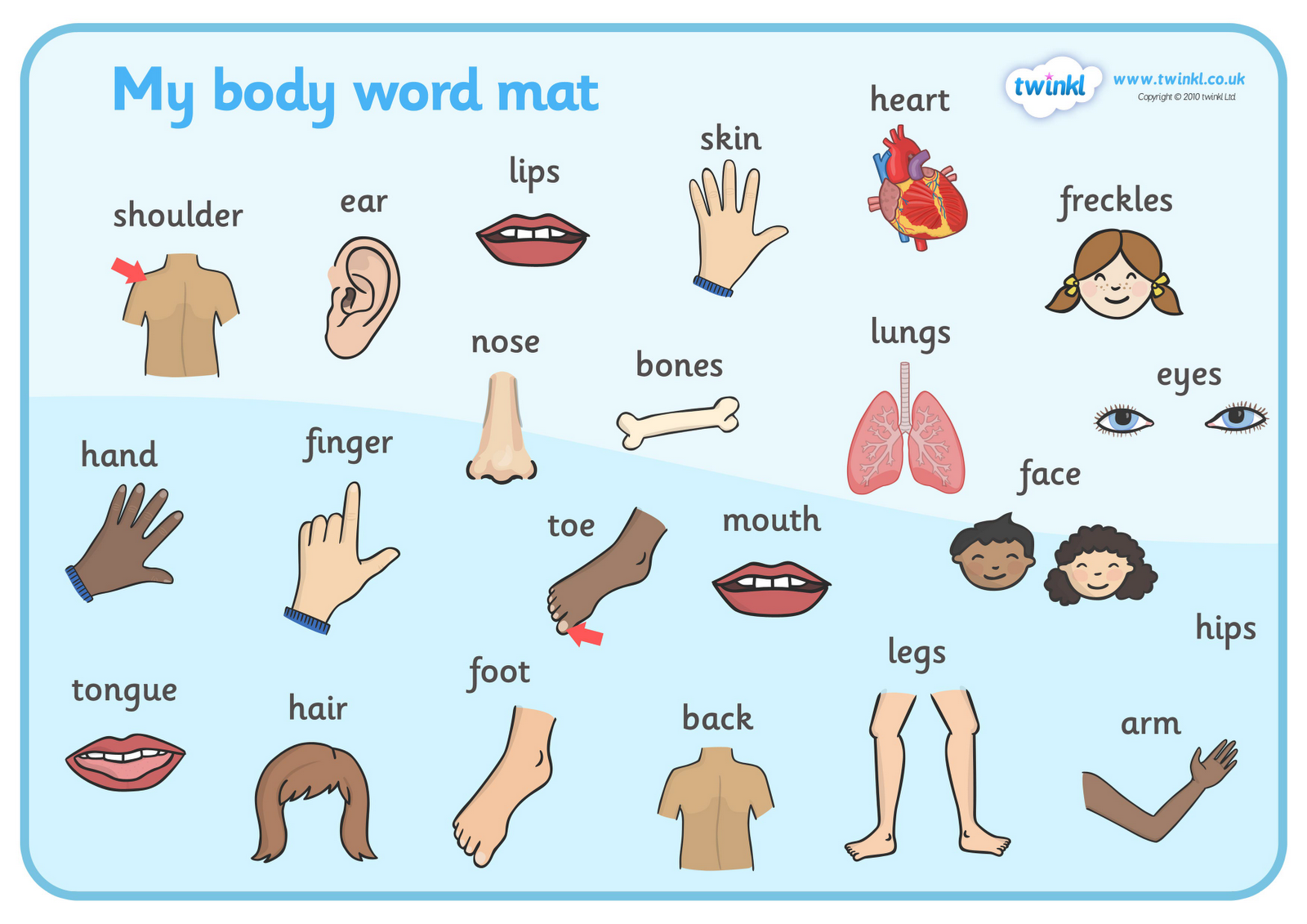 body parts clip art 20 free Cliparts | Download images on Clipground 2022