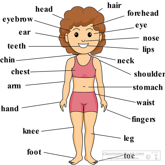 Parts Of The Body Clipart Black And White ~ Clipart Body Parts Black ...