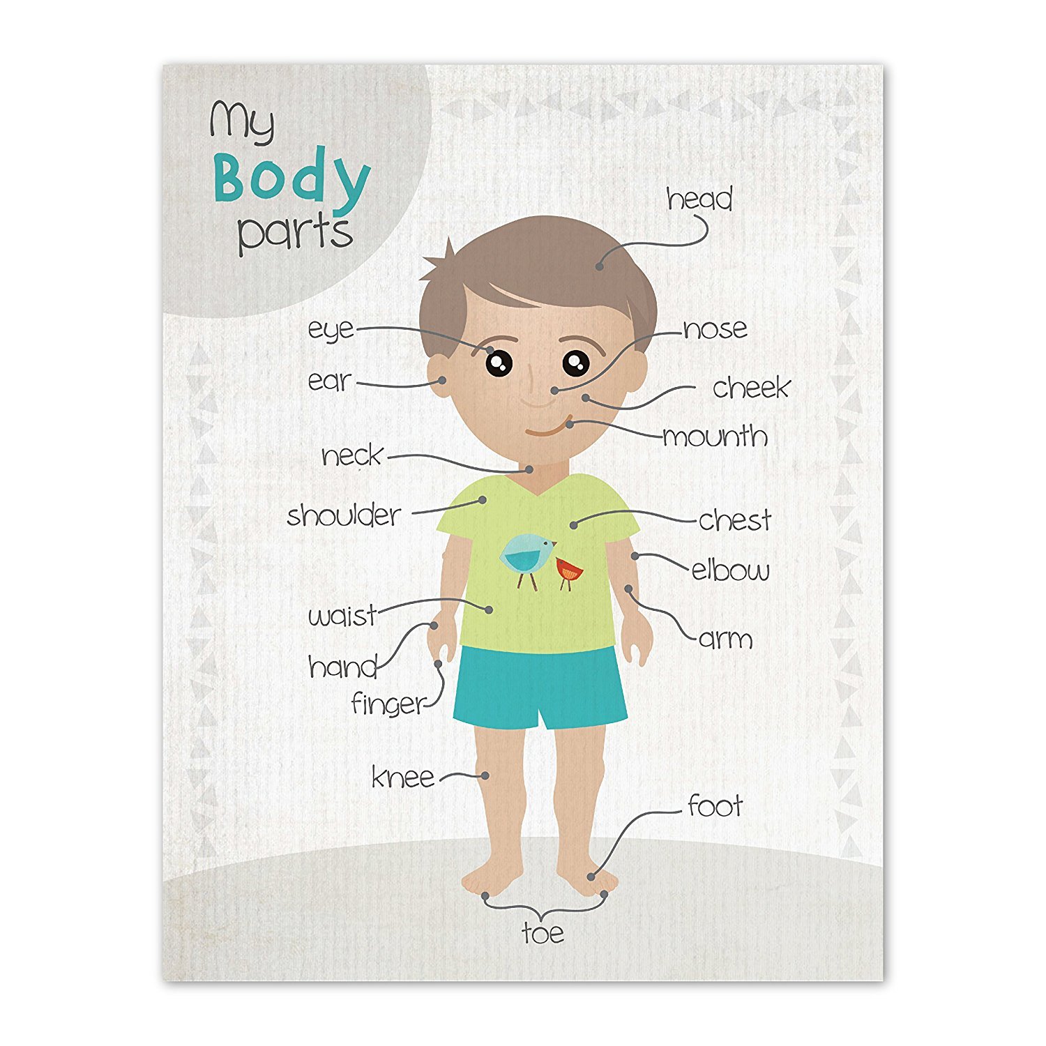 Amazon.com: Kid\'s Room Decor, Body Parts Clipart For Kids.