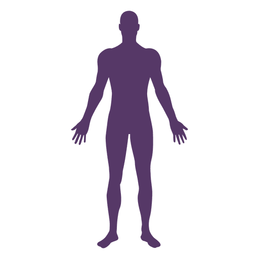 Body Png 20 Free Cliparts Download Images On Clipground 2024