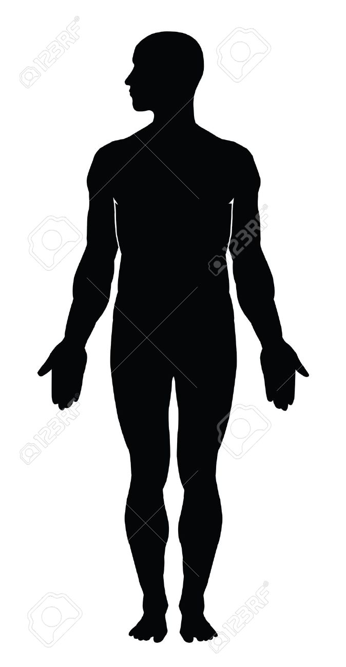 Silhouette of the human body clipart.