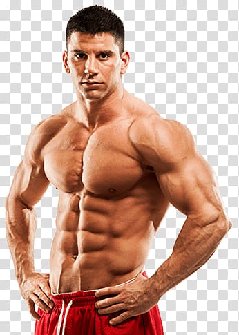 bodybuilder png 20 free Cliparts | Download images on Clipground 2021