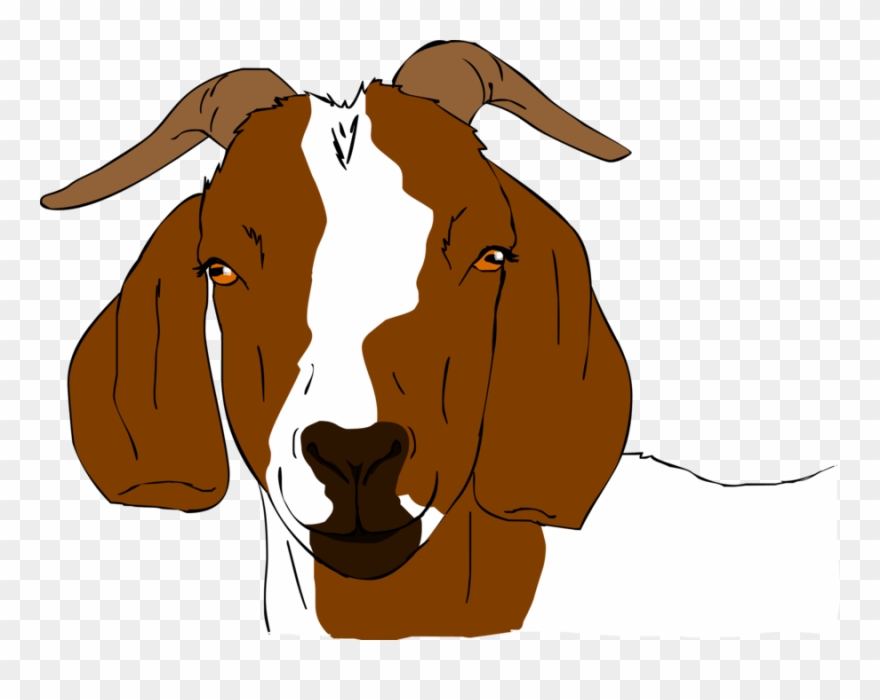 Boer Goat Clip Art.