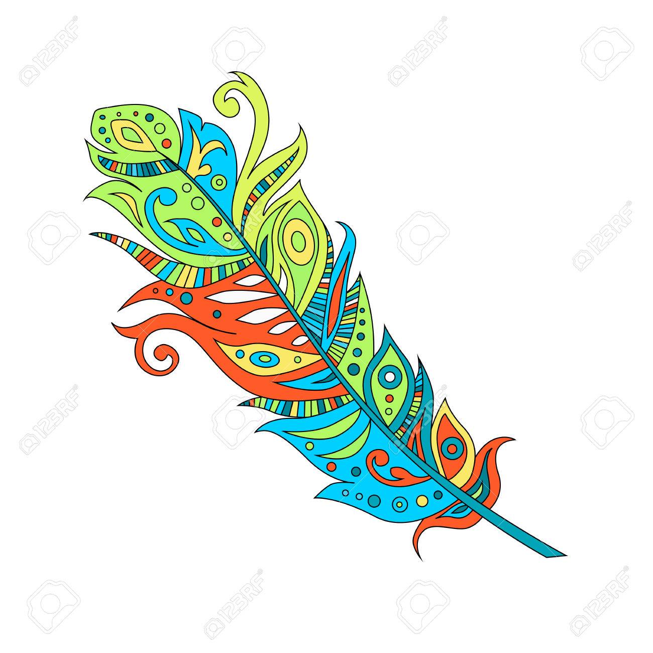 beautiful bohemian boho birds feather, vector illustration.