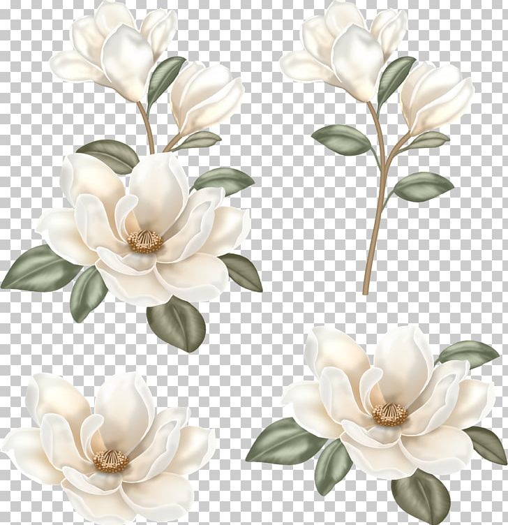 Flower Floral Design PNG, Clipart, Art, Blume, Boho, Boho.