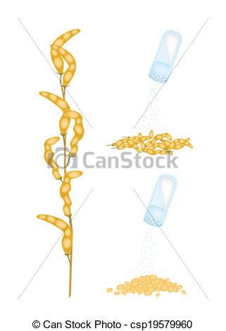 Clip Art Vector of Delicious Boiled Japanese Soybean Eating with.