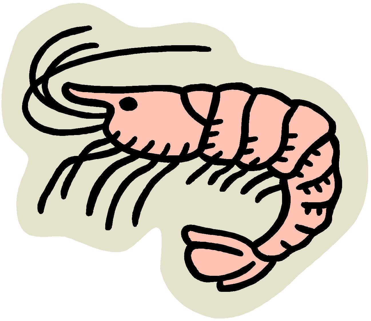 Cooked Shrimp Clipart.