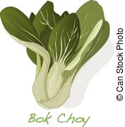 Bok choy Illustrations and Clipart. 108 Bok choy royalty free.
