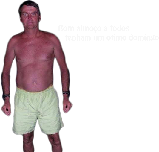 Bolsonaro com Peixe on Twitter: 