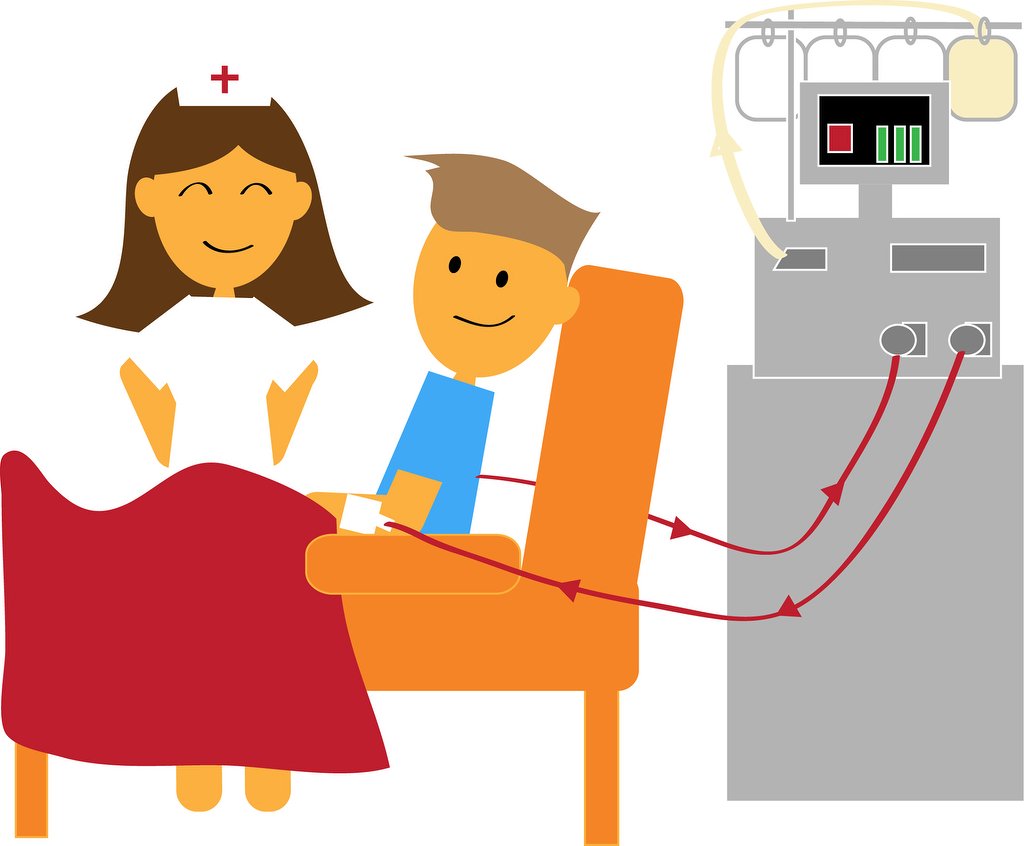 Bone Marrow Transplant in a Nutshell.