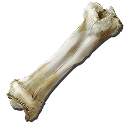 Dinosaur Bone.