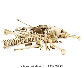 Pile Of Bones Png (109+ images in Collection) Page 3.
