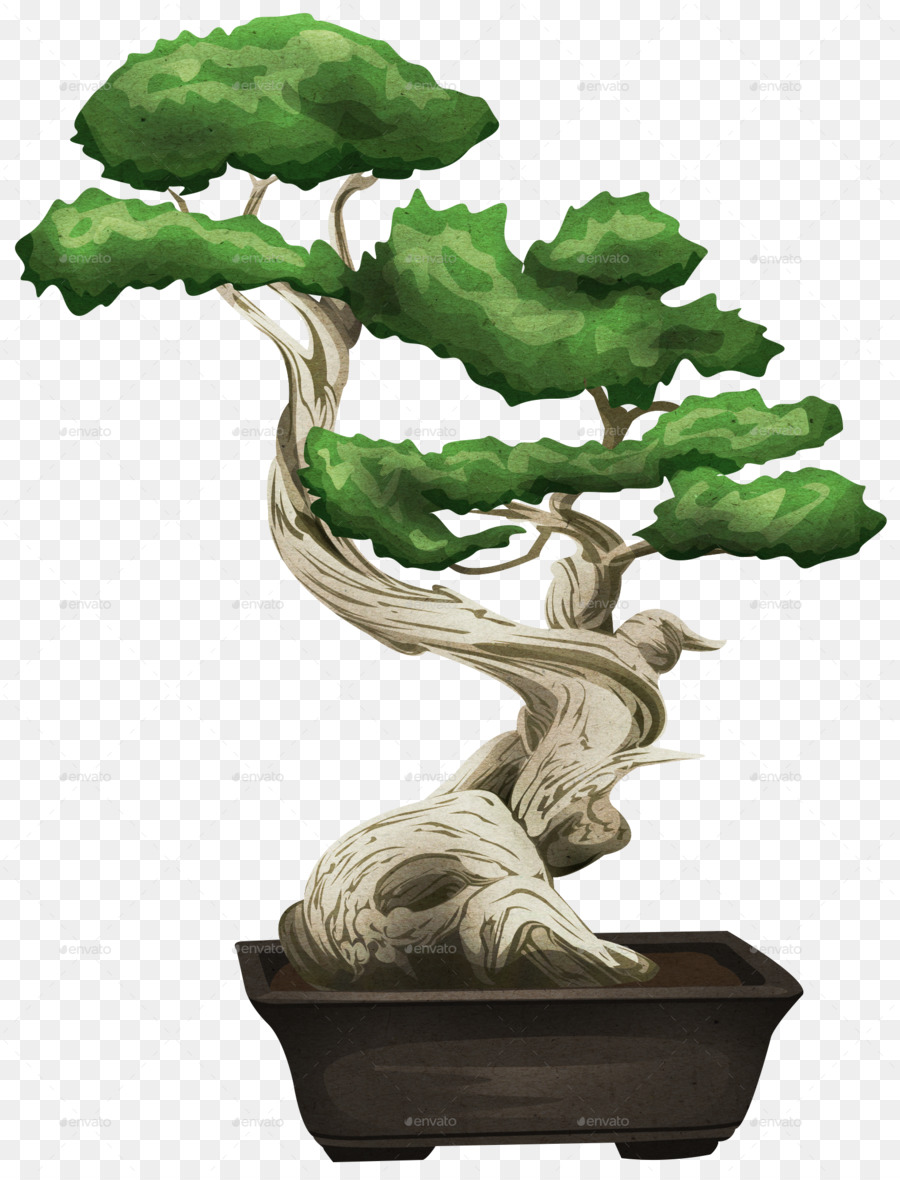 Bonsai Tree clipart.