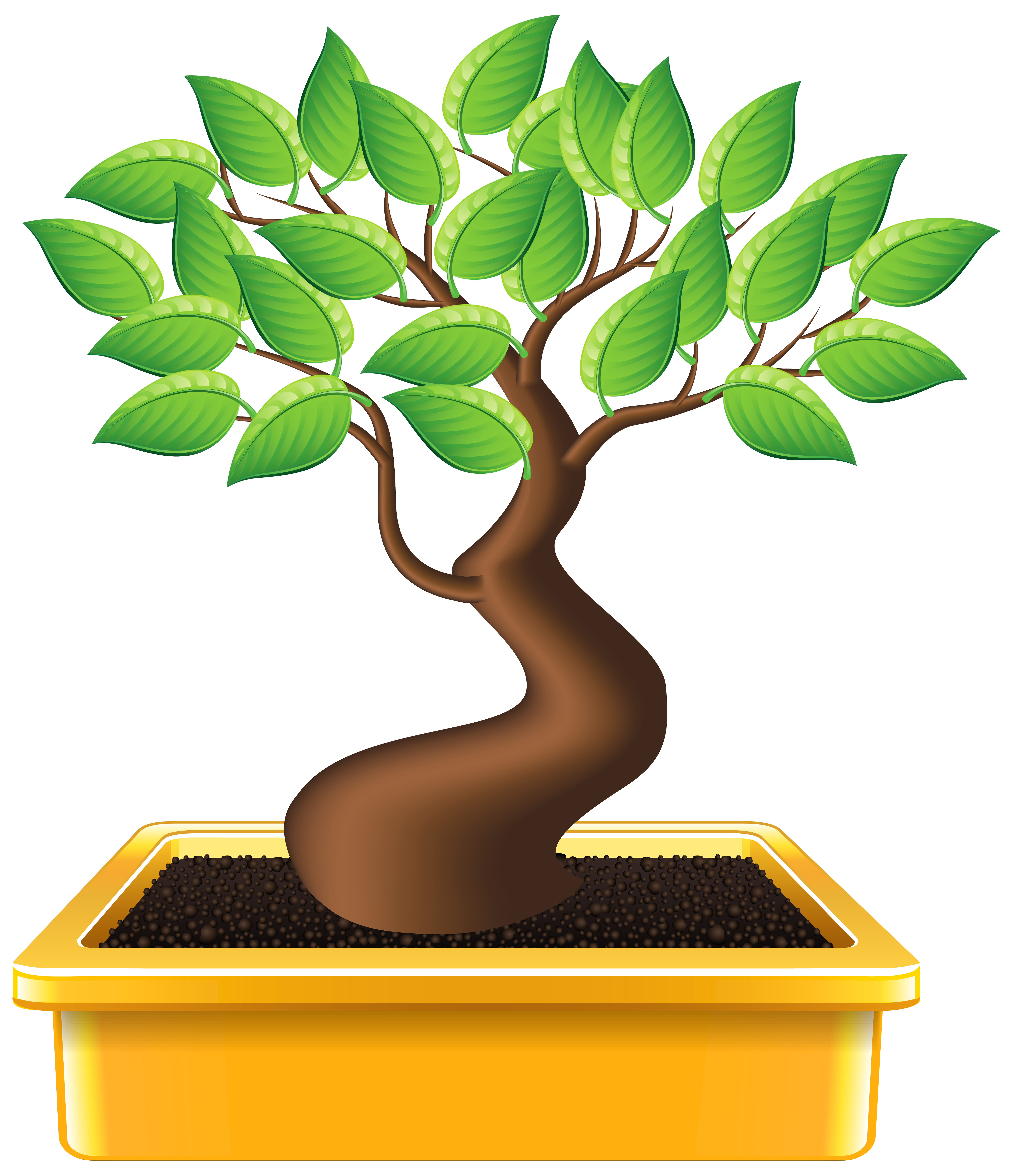 Clipart Bonsai.