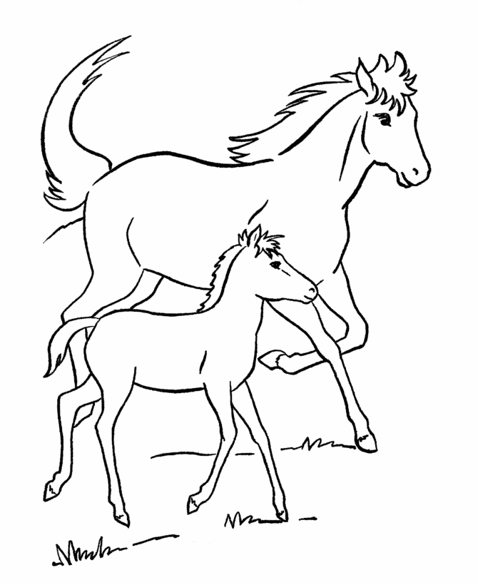 Printable Horse Outline.