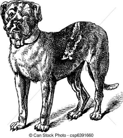 Vector Clipart of Dogue or Dogue de Bordeaux or Bordeaux Mastiff.