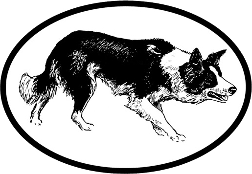 Free Border Collie Outline, Download Free Clip Art, Free.