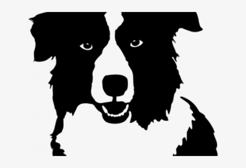 border collie clipart free 20 free Cliparts | Download ...