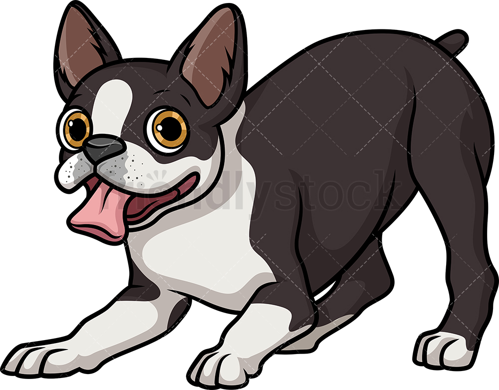 boston terrier clip art 20 free Cliparts | Download images on ...