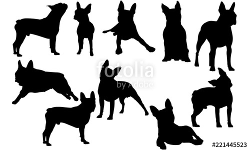 Boston Terrier Dog svg files cricut, silhouette clip art, Vector.