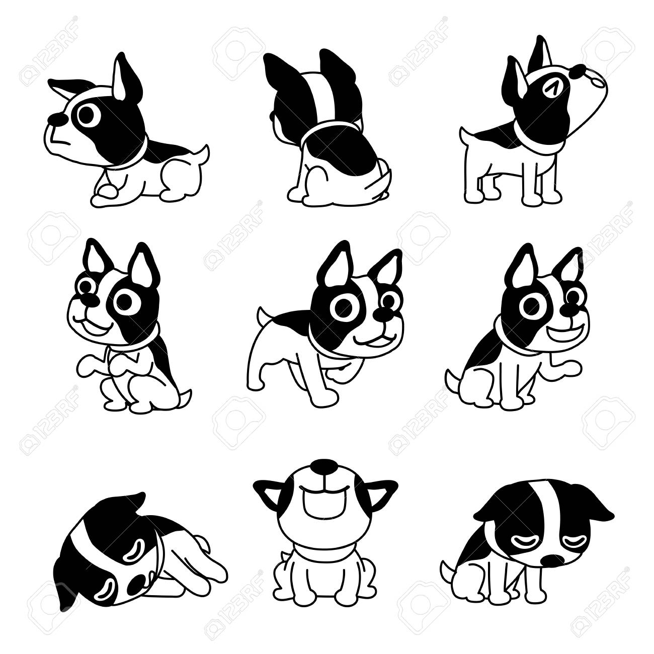 boston terrier clip art images 20 free Cliparts | Download images on