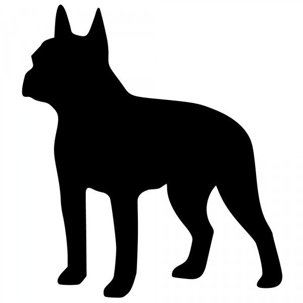 Free Boston Terrier Cliparts, Download Free Clip Art, Free.