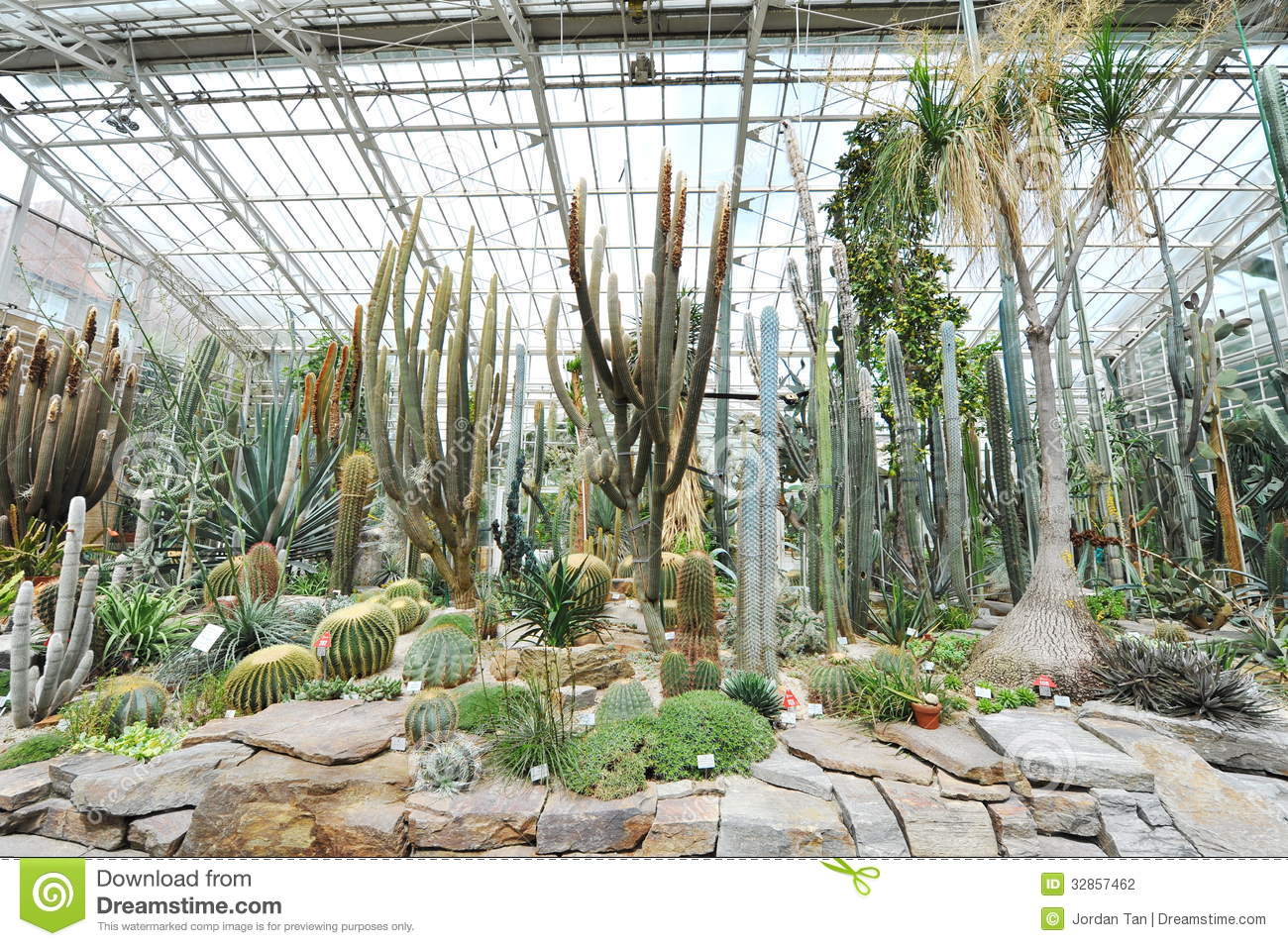 Water Lilies And Pond In Victoria Glasshouse Of Munich Botanical.