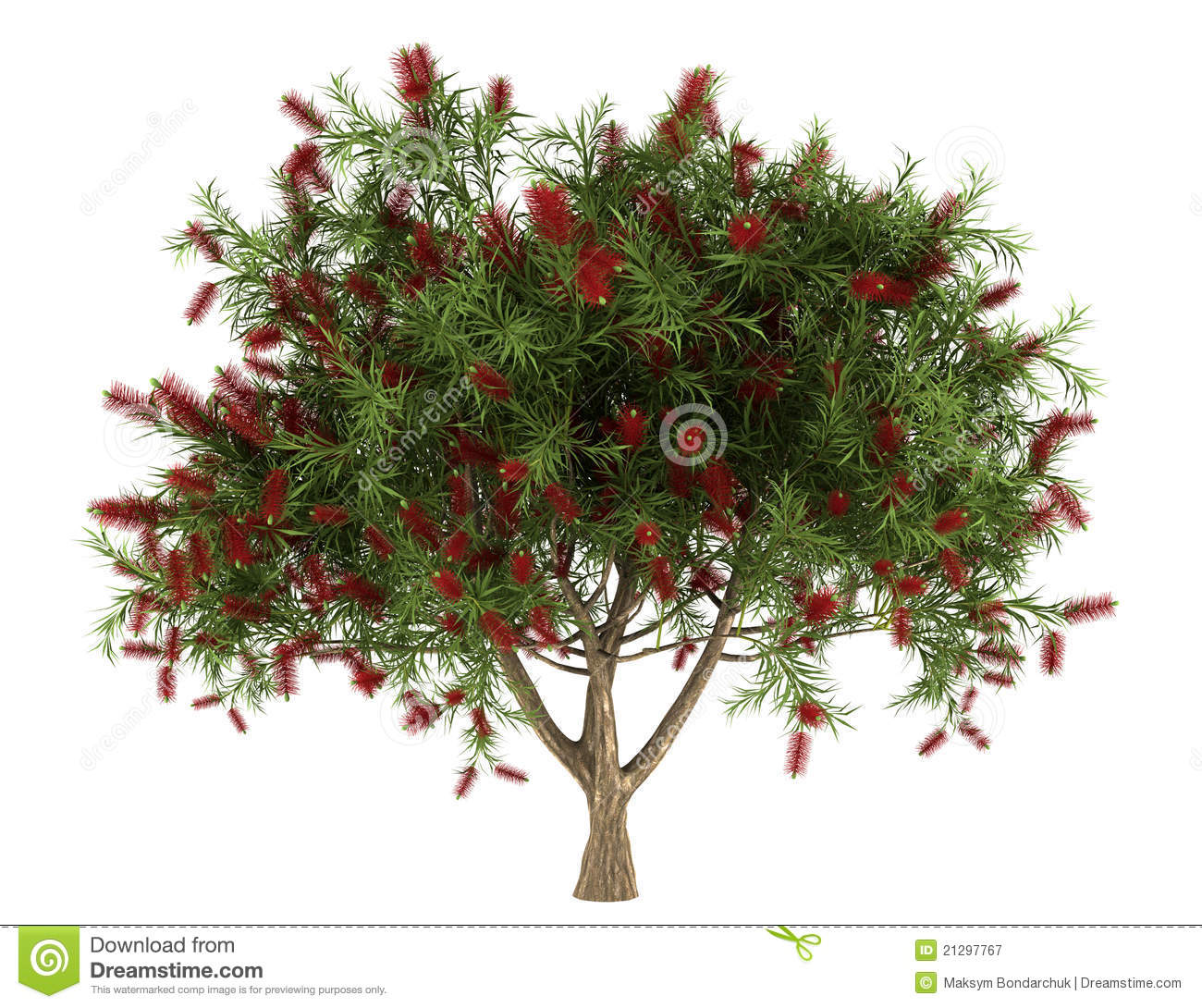 Bottle Brush Clipart 20 Free Cliparts Download Images On Clipground 2023