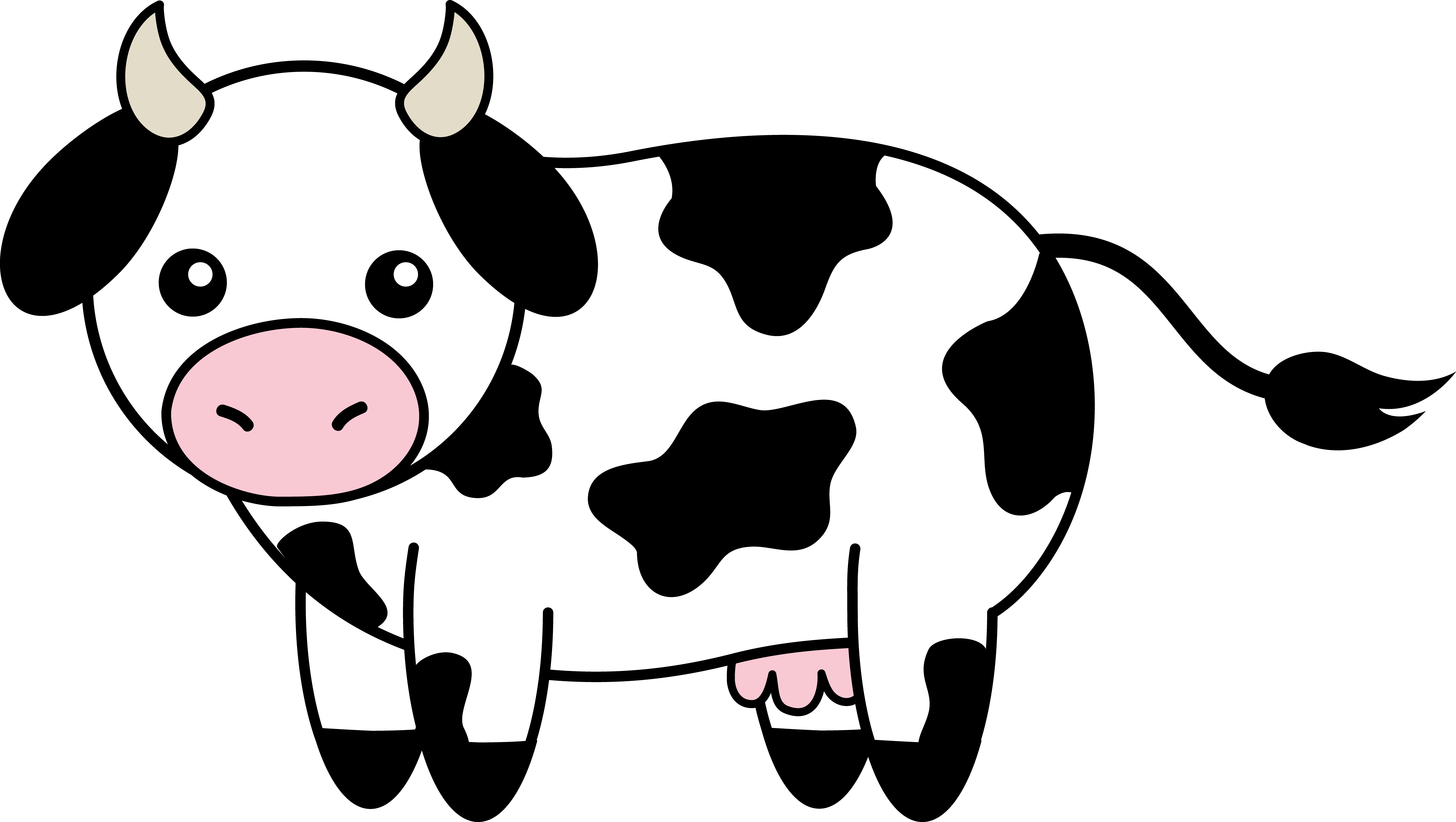 Cute Black and White Cow.