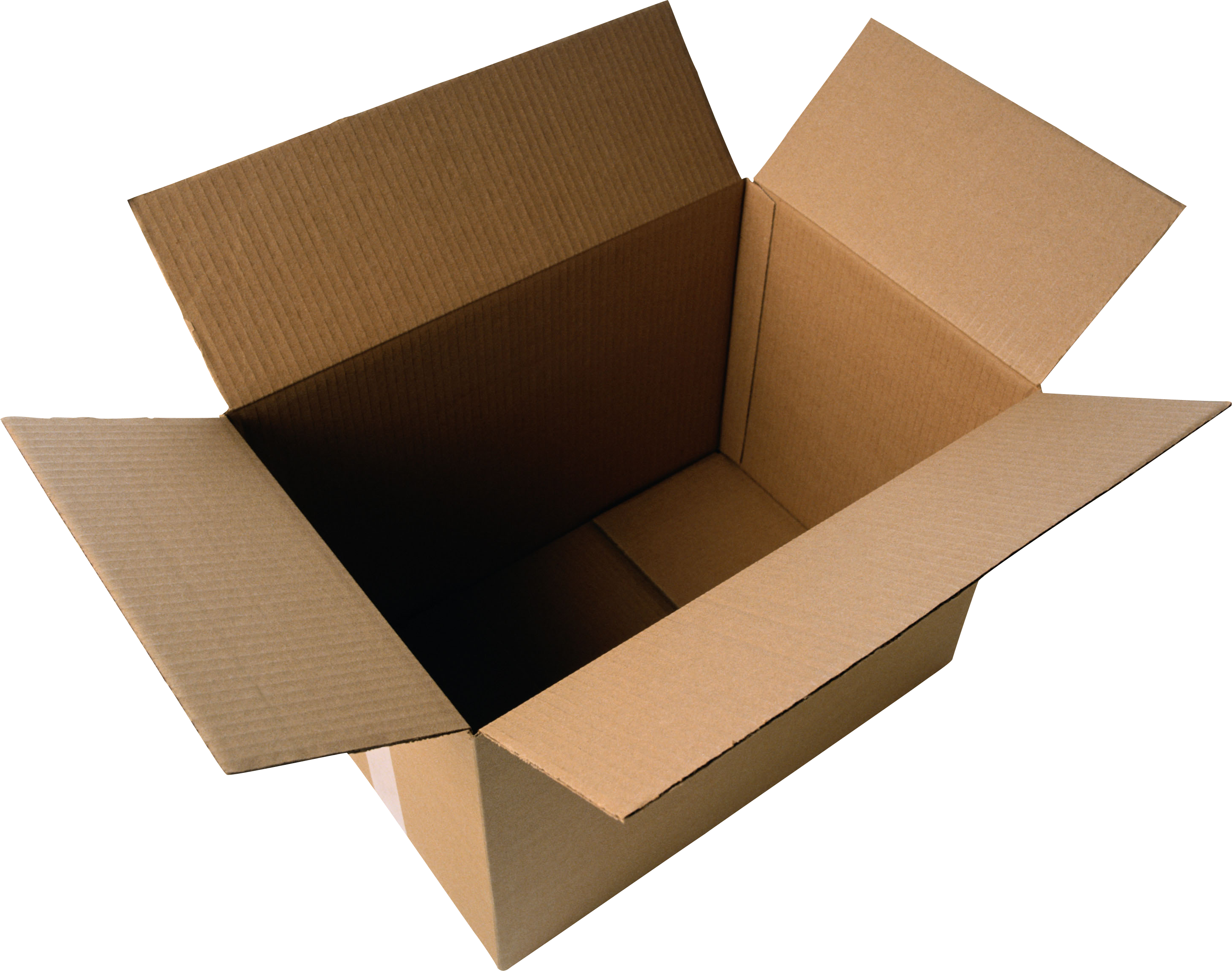 Cardboard Box Transparent File.