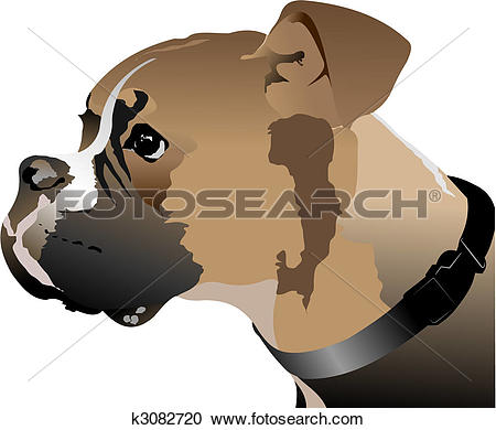 Clipart of Boxer dog head. Vector illustration k3082720.