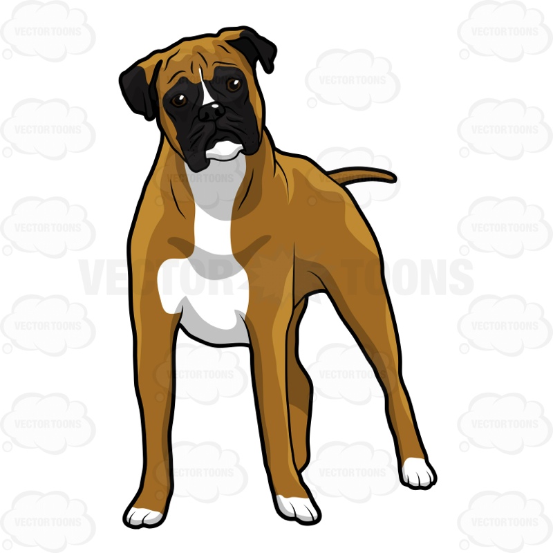 boxer dogs clipart