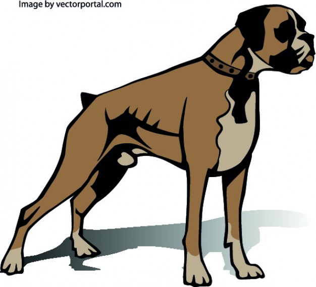 boxer dogs clipart