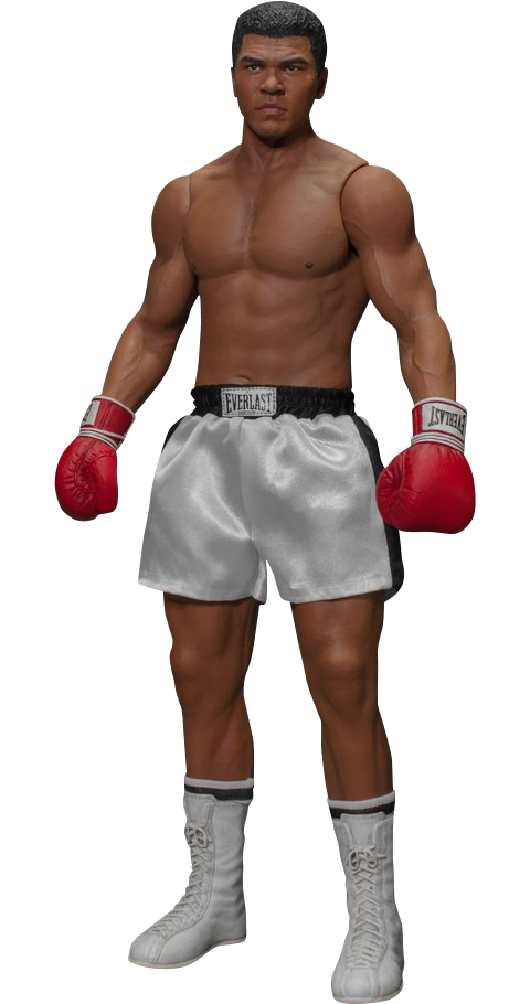 Boxing,Boxing glove,Professional boxer,Combat sport,Professional.