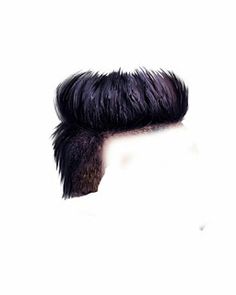 51 Best hair png images in 2018.