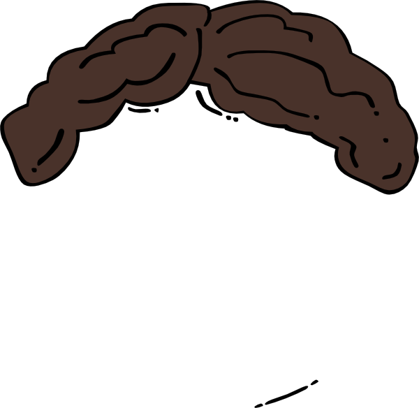 Brown Wig Clipart.